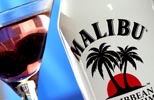 MALIBU-1.JPG